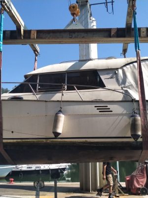 antifouling hors-bord maintenance nautique